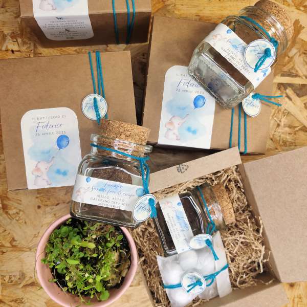 bomboniere semi da piantare battesimo bimbo ecofattoart